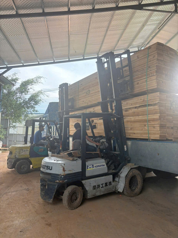 Gỗ nguyên liệu - Pallet Gỗ Hoàng Huy Phát - Công Ty TNHH Sản Xuất TMDV Hoàng Huy Phát